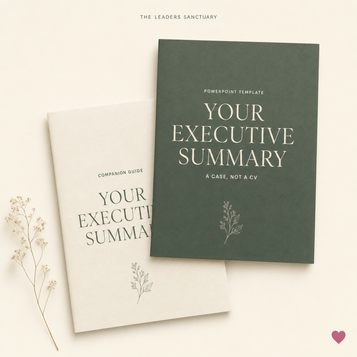 Your Executive Summary — a case, not a CV. Nine-slide PowerPoint template and Companion Guide PDF from The Leaders Sanctuary.